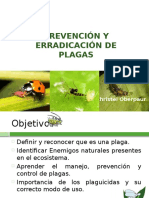 Huerta Familiar Prevencion y Erradicacion de Plagas