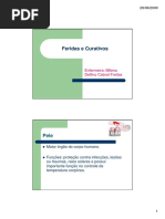 22 Feridas e Curativos 1