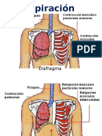 Biologia