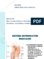 Sistema Reproductor y Excretor