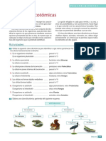 730-procedimiento10.pdf