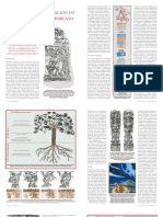 Fuerzas Animicas PDF