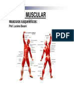 SISTEMA MUSCULAR - Cabeca Pescoco e Tronco PDF