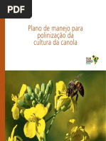 1_plano de Manejo Canola_8jun2016