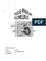 TUGAS MAKALAH Ginjal