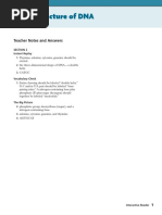 Structure of DNA: Teacher Notes and Answers