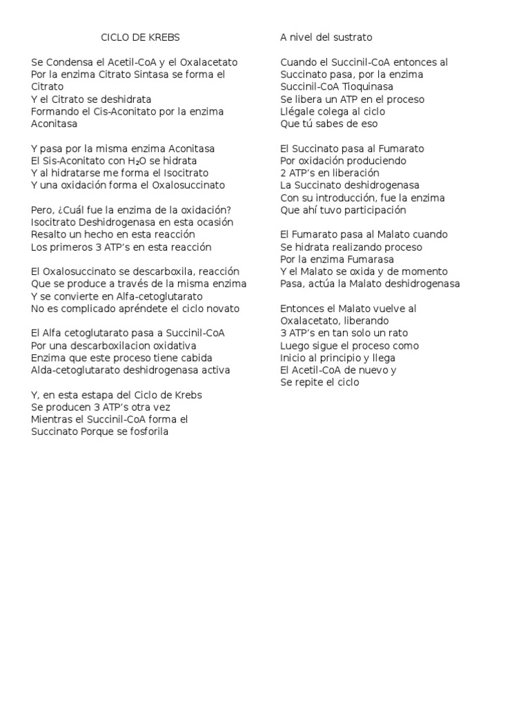 Letra Ciclo De Krebs Rap Docx letra ciclo de krebs rap docx