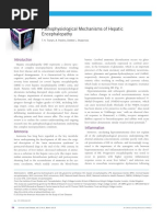 Encefalopatia Hepatica Fisiopatologia