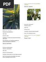 Download Tamil Mooligai by Pks SN330069683 doc pdf