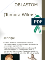 Tumora Wilms
