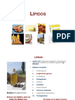 1.2-Lípidos - 1 Por Pág - Mayo - 13