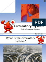 Circulatory System: Body's Transport System