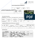 Ficha de Evaluación 1