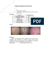 LEMBAR DESKRIPSI PETROGRAFI111