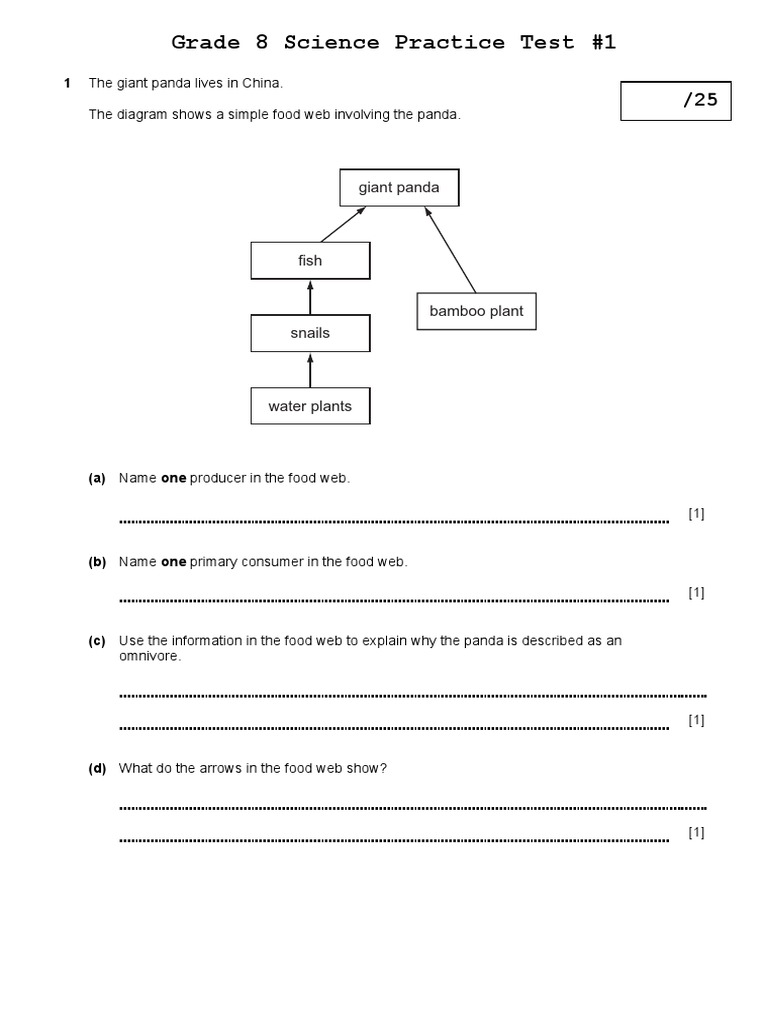 G8 SC Practice Test 1 PDF Magnesium Electrical Conductor