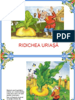 0 3 Ridichea Uriasa