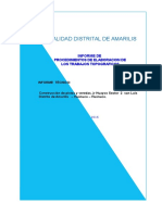 Informe Pista Amariis