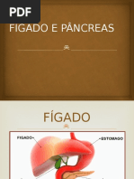 Fígado e Pâncreas