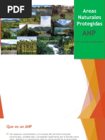 ANP - copia