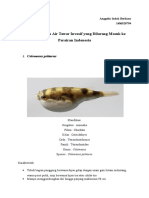 Tugas Spesies Invasif Pisces-Anggelia