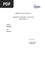 Semi Portico 4t x 11 m