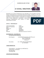 Curriculum - Vitae Anghelo Fs