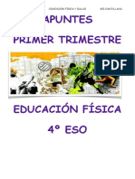 4eso Teoria 1tri PDF PDF