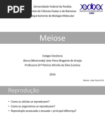 3 Meiose Teórica Jaíse