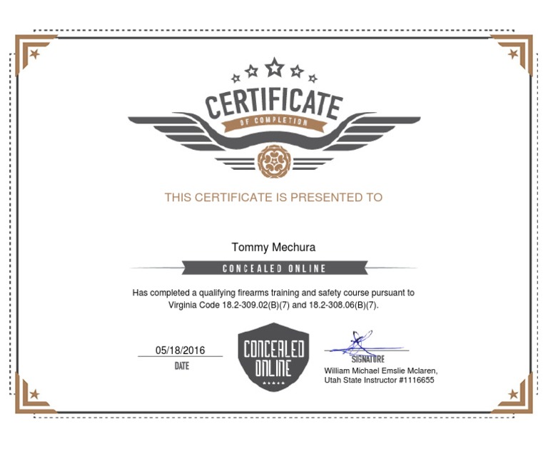 Consealed Hand Gun License PDF Concealed Carry In The United States