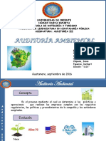 Auditoría ambiental: concepto, evolución y tipos