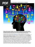 Excesso de Informação Pode Mudar a Configuração Do Cérebro