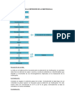 Procedimiento Para La Obtención de La Mantequilla (1)