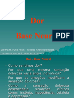 Aula - Dor - Bases Neurais