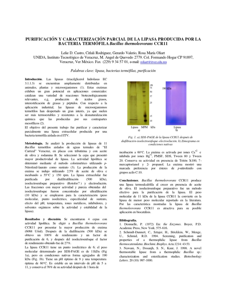 Lipasa de Bacillus thermoleovorans CCR11 | PDF | Las bacterias | Enzima