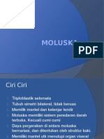 Moluska