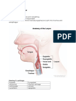 Anatomy of Larynx