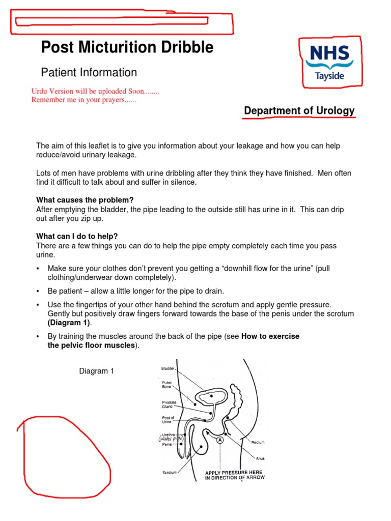 Urine Dribbling.pdf Urinary Incontinence Urology