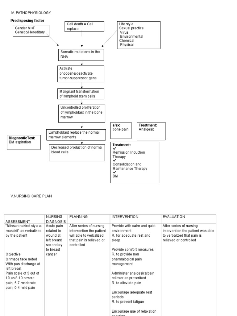 Breast Cancer | PDF | Breast Cancer | Cancer