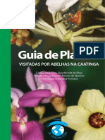 -guia-plantas-caa130804104132-phpapp01.pdf