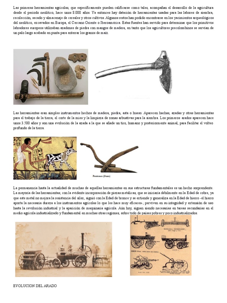 Las Primeras Herramientas Agrícolas | Arado | Agricultura