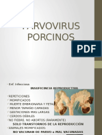 339512104.PARVOVIRUS PORCINOS