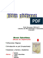 Micosis Subcutaneas Presentación