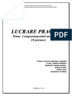 Lucrare Practica