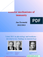 L4-Effector Mechanisms of Immunity