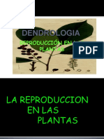 La Reproduccion en Las Plantas