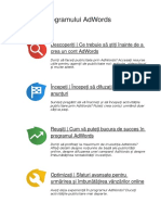 Ghidul programului AdWords.docx