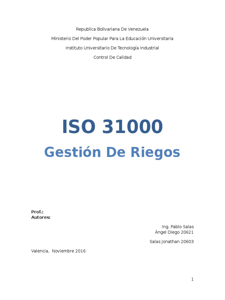 Gestión de Riesgos según ISO 31000 | PDF | Toma de decisiones ...