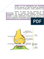 Neurotransmisores 