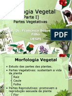 Morfologia Vegetal I
