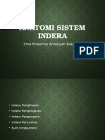 Anatomi Sistem Indera